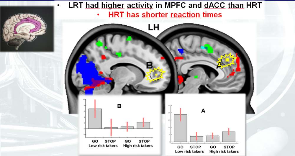 I hvert av fMRI-bildene viser den gule firkanten at det er høyere aktivitet i venstre hjernehalvdel til lavrisikosøkerne, enn hos høyrisikosøkerne. Området som ble studert er en del av medial prefrontal cortex (mPFC), som er det området i hjernen som også styrer beslutningsprosessen. Illustrasjonen er hentet fra en presentasjon av Dagfinn Moe.