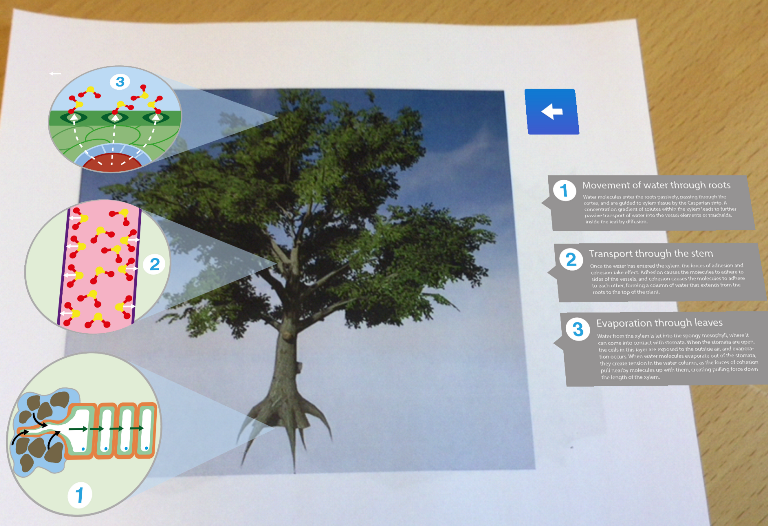 Ved å holde nettbrettet over bildet av treet kommer det fram mer informasjon om treets bestanddeler. 