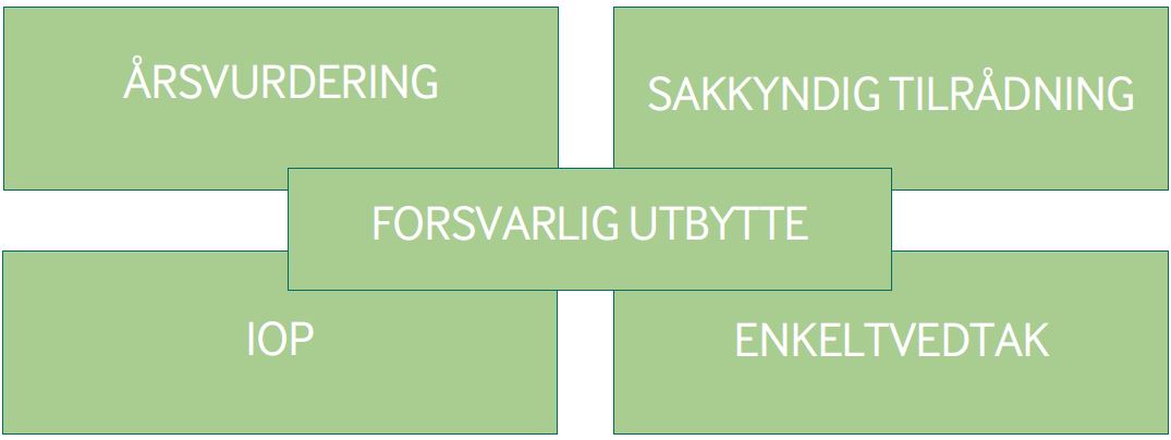 Figur 2. Kvalitetssikringsmodell av spesialundervisning (Fylkesmannen i Oppland 2014)