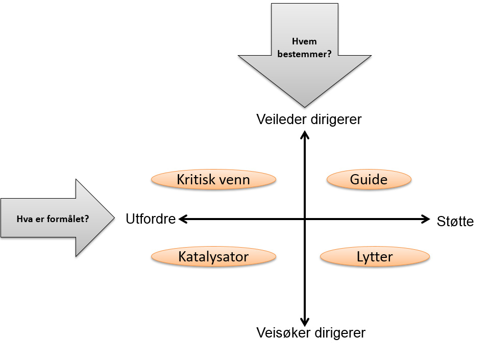Figur 3. Oversikt over ulike veilederroller med utgangpunkt i karakteristikker ved veiledningen.