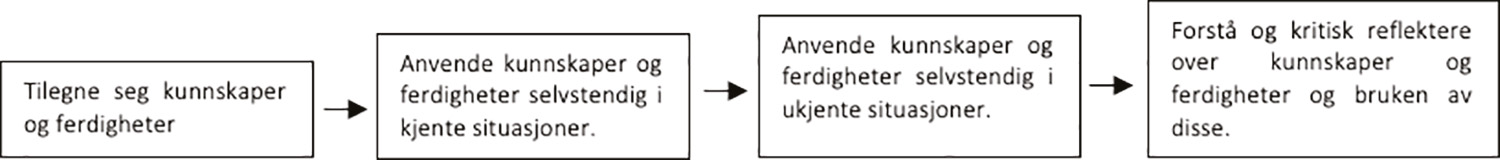 Figur 1. Epistemiske antakelser i kompetansebegrepet i LK20.