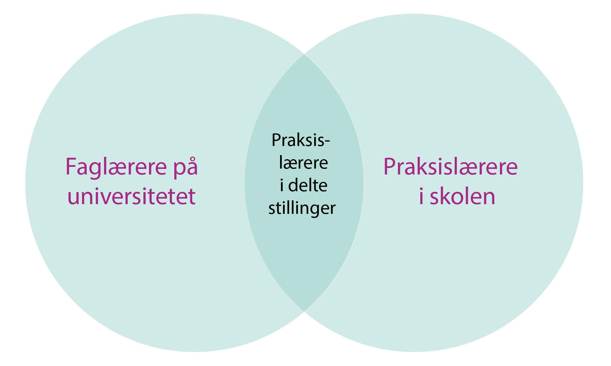 Figur 1: Praksislærere i delte stillinger på universitetet.