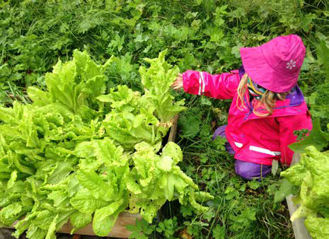 BILDE 4: Dyrkingsprosjekter i barnehagen må ikke bli for skolsk eller ha en gartners standard. Det viktigste er å gi barna gleden av å grave i jorda, se planter gro og smake på det som vokser, skriver artikkelforfatteren.