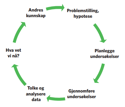 Figur 1. Utforskende arbeidsmåter framstilt som en syklisk prosess (basert på figur i Knain & Kolstø, 2011, s. 18)