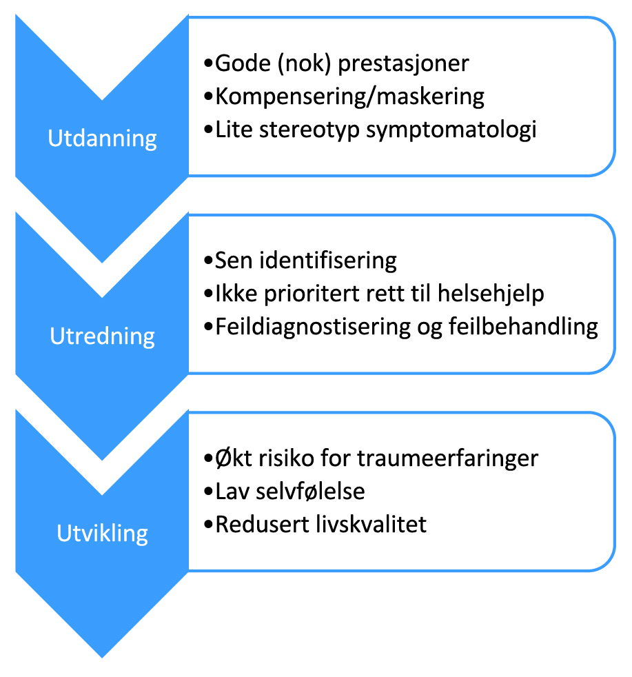 Figur 1. Den tematiske innholdsanalysen oppsummert.