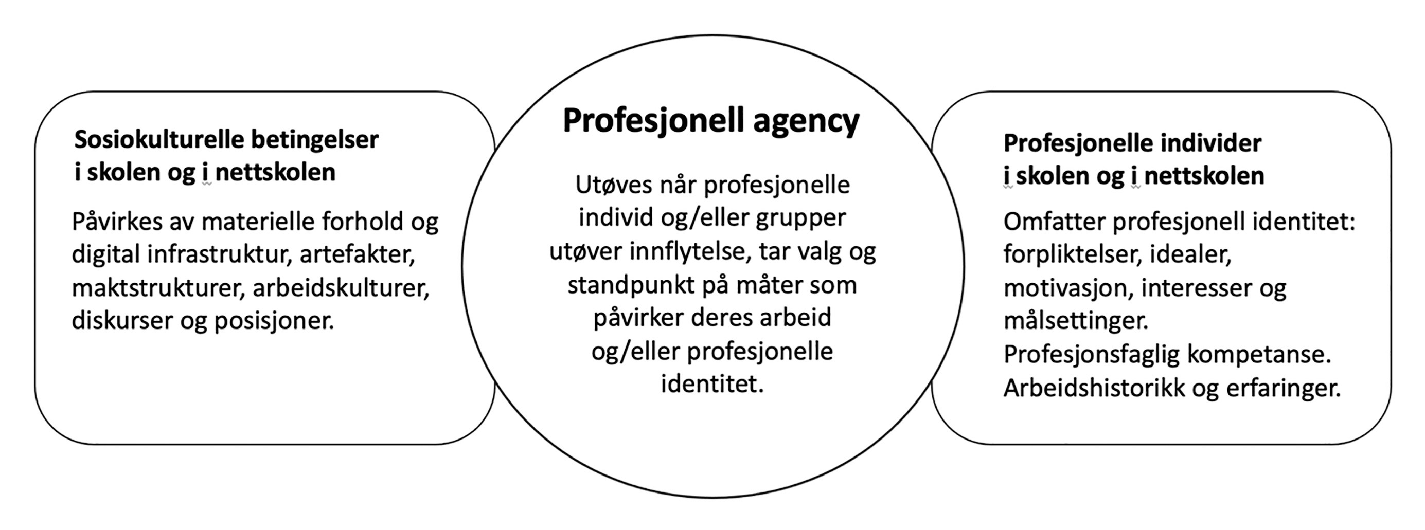 Figur 1. Profesjonell agency tilpasset og oversatt til norsk (Eteläpelto et al., 2013, 2014)