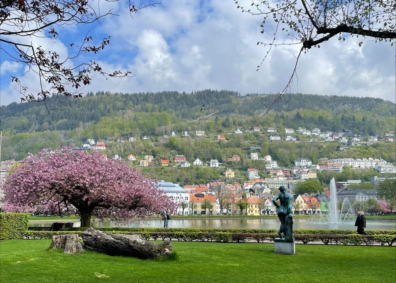 Flertallet av elevene i undersøkelsen til UiB-forskerne synes ikke det er viktig at medelevene har god råd eller snakker norsk hjemme. Foto/ill.: Amanda Schei