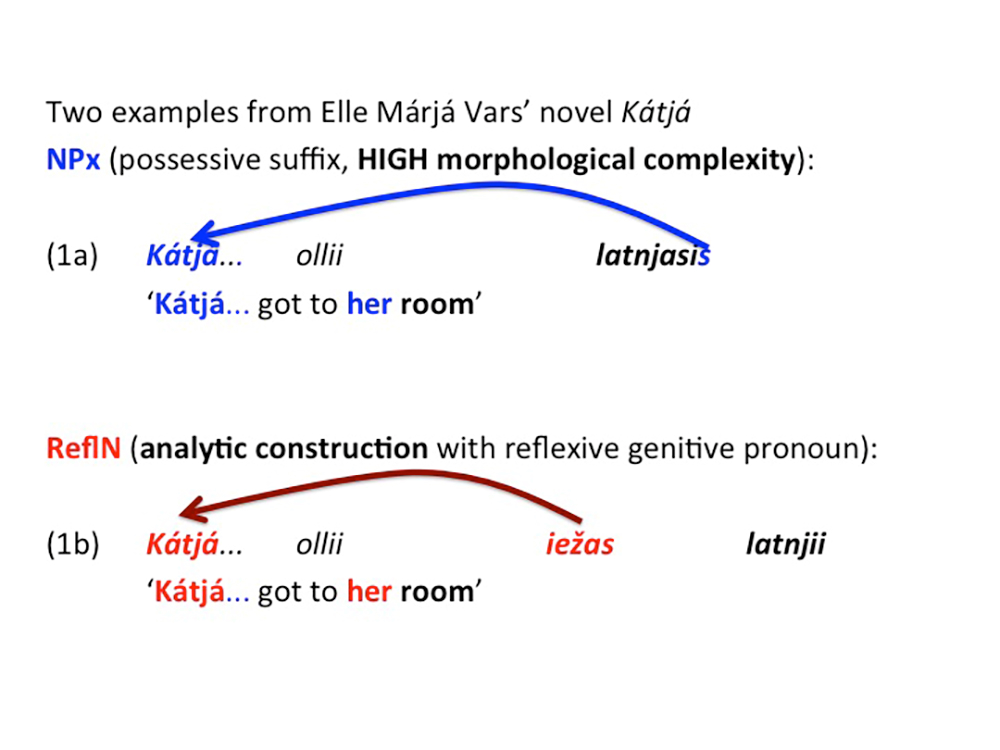 I en artikkel skrevet av UiT-forskerne, er det hentet eksempler på språkendringen i språket fra ungdomsromanen Kátjá, skrevet av Elle Márjá Vars. Her fant UiT-forskerne flere måter å uttrykke eierskap på. Den øverste (1a) åpner for 81 forskjellige kombinasjoner på å uttrykke eierskap på, den enklere måten (1b) gir langt færre kombinasjoner.