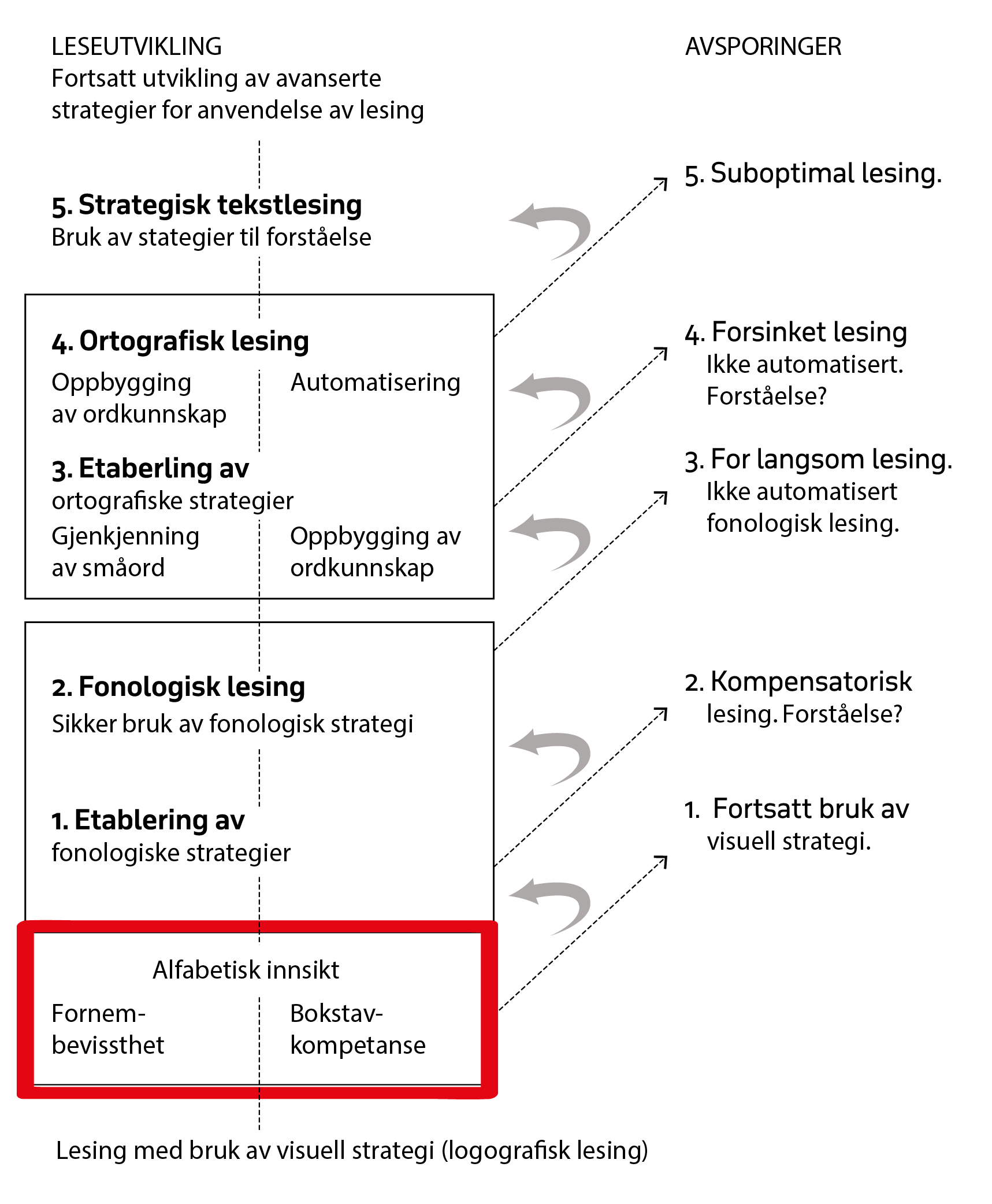 Figur 1: Spear-Swearlings modell for leseutvikling (Frost2003, 2003, etter Spear-Swerling og Sternberg, 1994) i Hagtvet, Frost & Refsahl 2014 s .99)