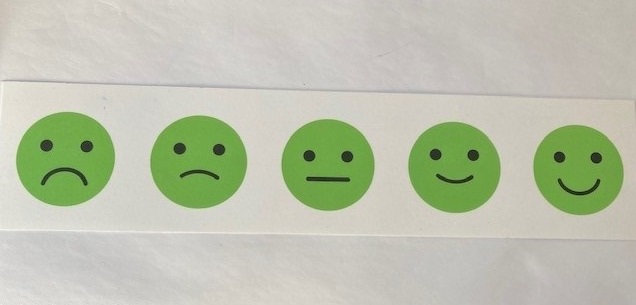 Testen bruker emojier for å gjøre det lett å svare. Foto: Hermundur Sigmundsson, NTNU