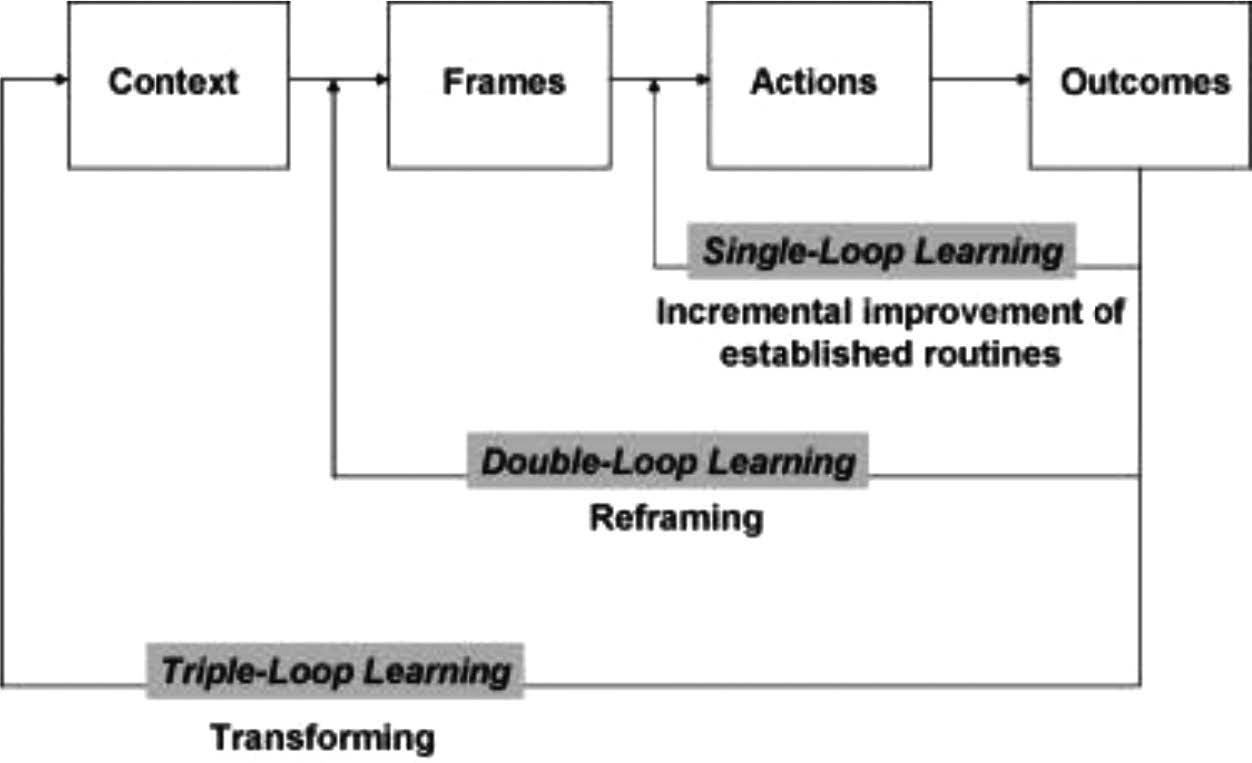 Figure 1. Sequence of learning cycles in the concept of triple-loop learning (derived from Hargrove in Pahl-Wostl, 2009).