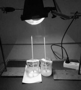 Figure 1. The experimental setup