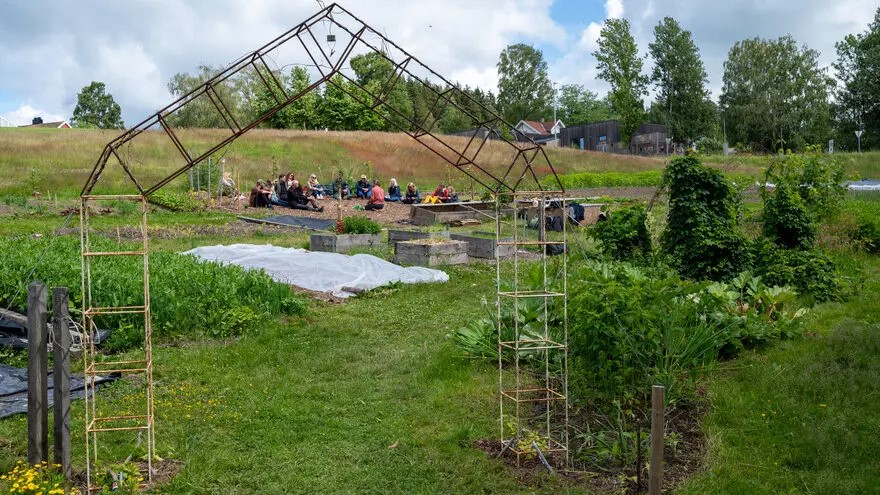 Ved NMBU forskes det på hva som skal til for at skolehager lykkes.Foto: Johanne Høie Kolås