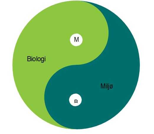 Figur 1 Arv og miljø – en enhet bestående av to motsetninger (Sameroff, 2010)